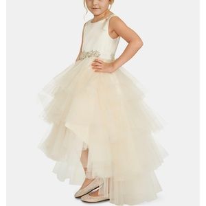 Rare editions satin tulle fairy dress 4t